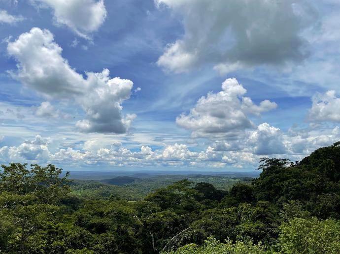 a landscape with trees and clouds